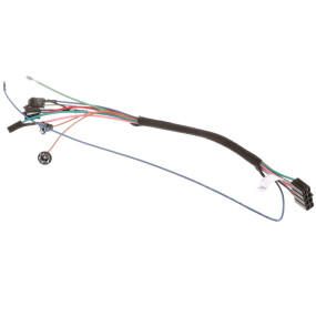 Kabelbaum Case 405251R2