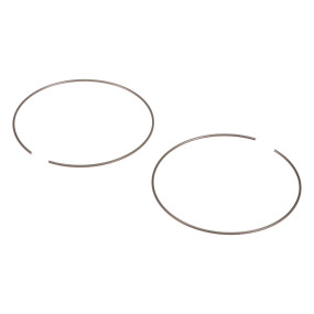 Sprengring Case 47132782