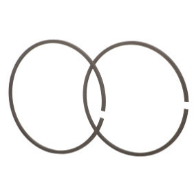 Sprengring Case 47136619