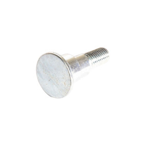 Bolzen Case 47741063
