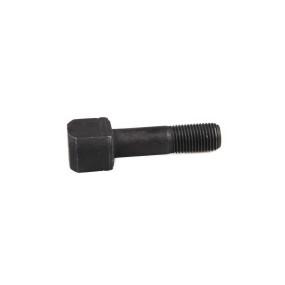Schraube Case 47935187