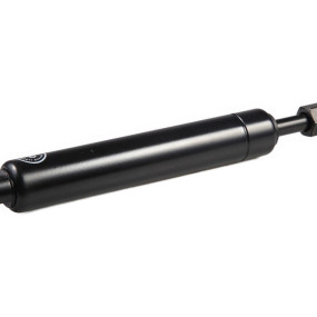 Gasdruckfeder Case 48014220