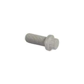 12Kt-Schraube Case 48145043