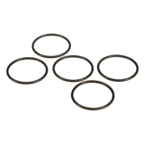 O-Ring Case 4891258