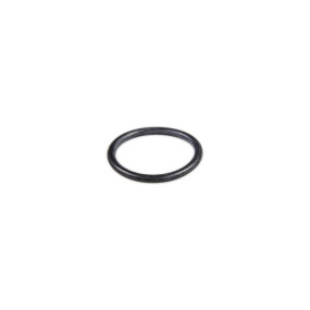 O-Ring Case 4895082