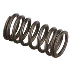 Ventilfeder Case 4895215