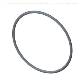 O-Ring Case 4897110