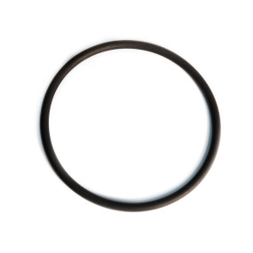 O-Ring Case 4898876