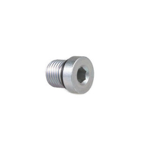 Innensechskantstopfe Case 4899009