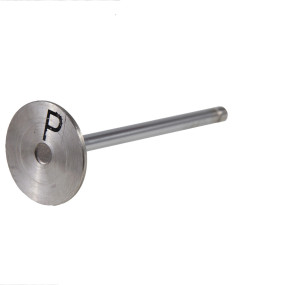 Auslassventil, Stand (4899632) Case