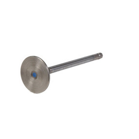 Standard-Motoreinlas Case 504162958