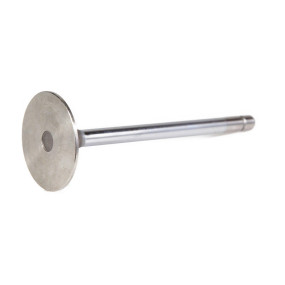 Einlassventil, Stand (5088011) Case