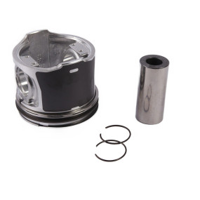 Kolben Komplett (5093010) Case