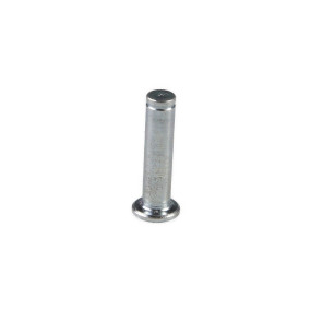 Bolzen Case 5098021