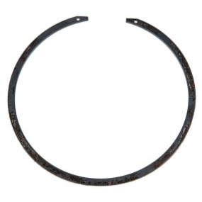 Sprengring Case 5124067
