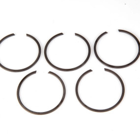 Sprengring Case 5124473