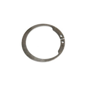 Sprengring Case 5154307