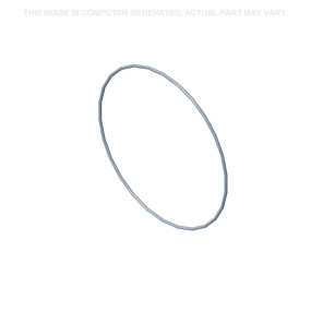 O-Ring Case 51573555