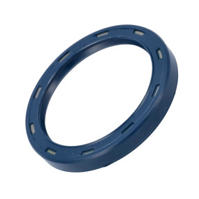 Dichtung (5159078) Case