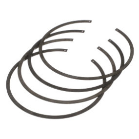 Sprengring Case 5162251