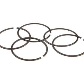 Sprengring Case 5168188