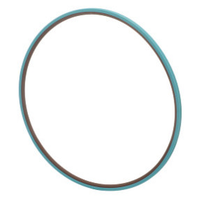 Gleitring Case 5172413