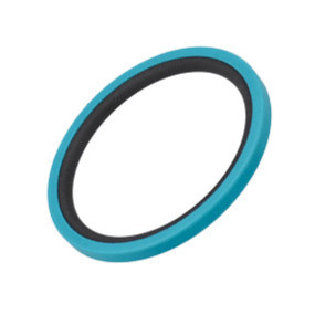 Dichtring Case