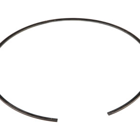 Sprengring Case 5178857