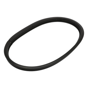 Glasabdichtung Case 5184232
