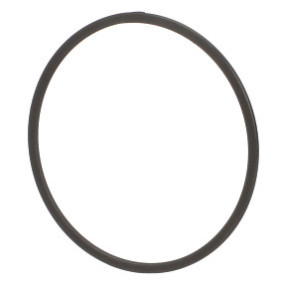 Sprengring Case 5191305