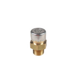 Entlüfter Case 5194153