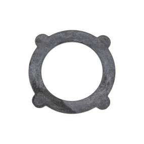 Scheibe Case 5194183