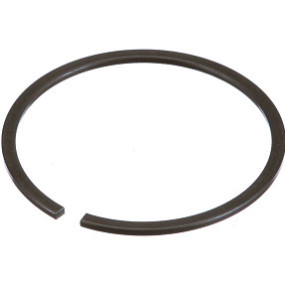 Sprengring Case 5196019