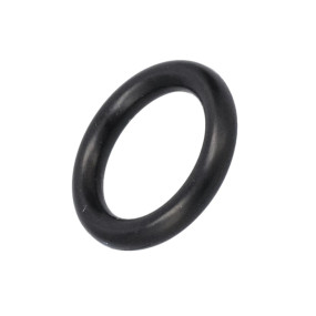 O-Ring (717203R1) Case