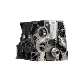 Austausch-Rumpfmotor Case 8099018ER