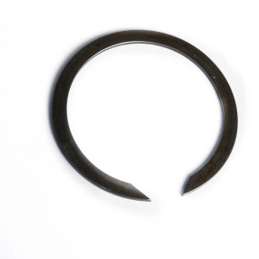Sprengring Case 81803474