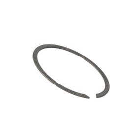 Sprengring Case 81863329