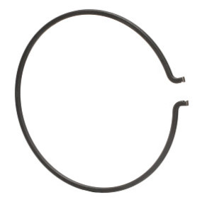 Sprengring Case 81863986