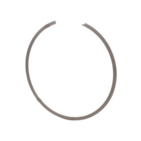 Sprengring Case 81864252