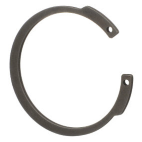 Sprengring Case 81864253