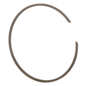 Sprengring Case 81864687