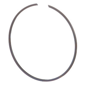 Sprengring Case 81878947