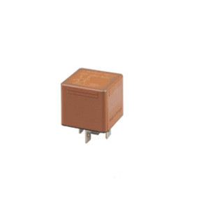 Relais Case
