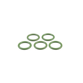 O-Ring Case 82007848