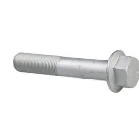 Schraube mit Flansch (82018941) Case