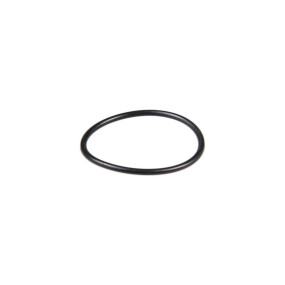 O-Ring Case 82031041