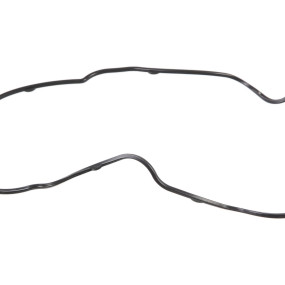 O-Ring Case 82036390