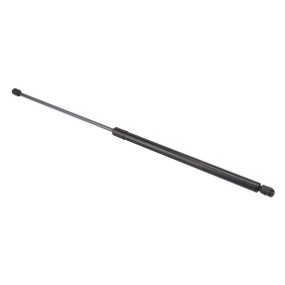 Gasdruckfeder Case