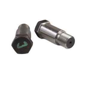 Bolzen Case 82825622