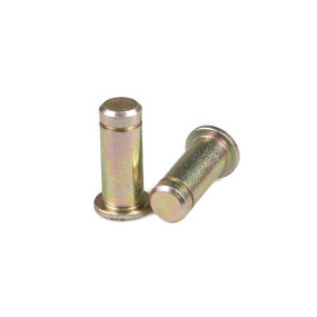 Bolzen Case 82851261
